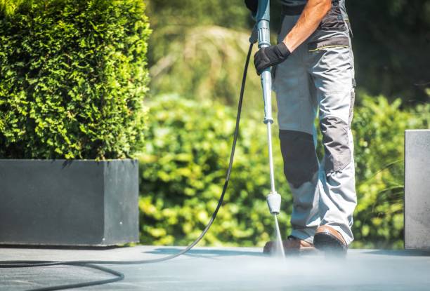 Best Roof Cleaning and Mildew Removal in Kasson, MN